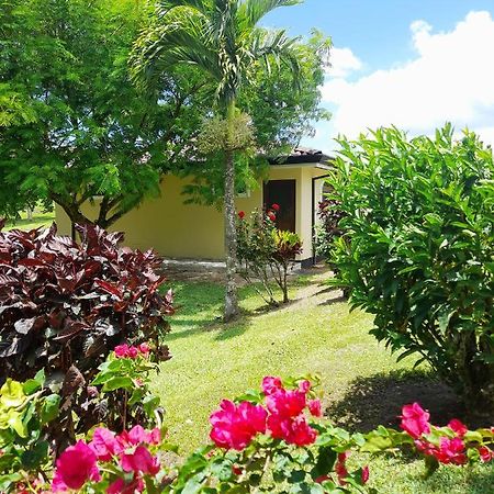 Top Rated - Lake View Arenal Suite - 2025 Traveller Awards Winner Tronadora Екстер'єр фото