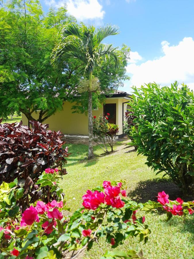 Top Rated - Lake View Arenal Suite - 2025 Traveller Awards Winner Tronadora Екстер'єр фото